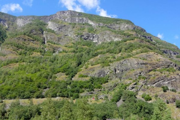 Ссылка на сайт кракен в тор браузере