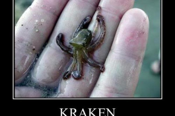 Kraken сайт зеркала krakens15 at