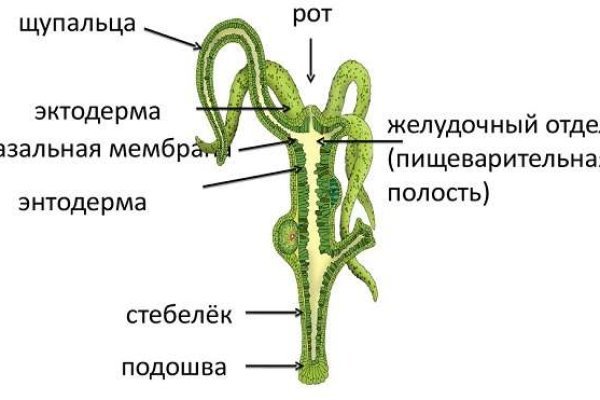 Кракен 18 вход