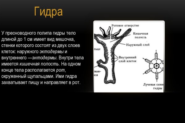 Модератор на кракене